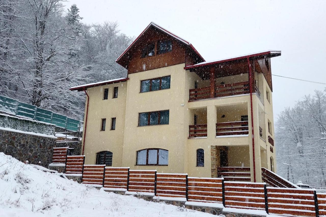 Casa Raisa Hotel Busteni Bagian luar foto